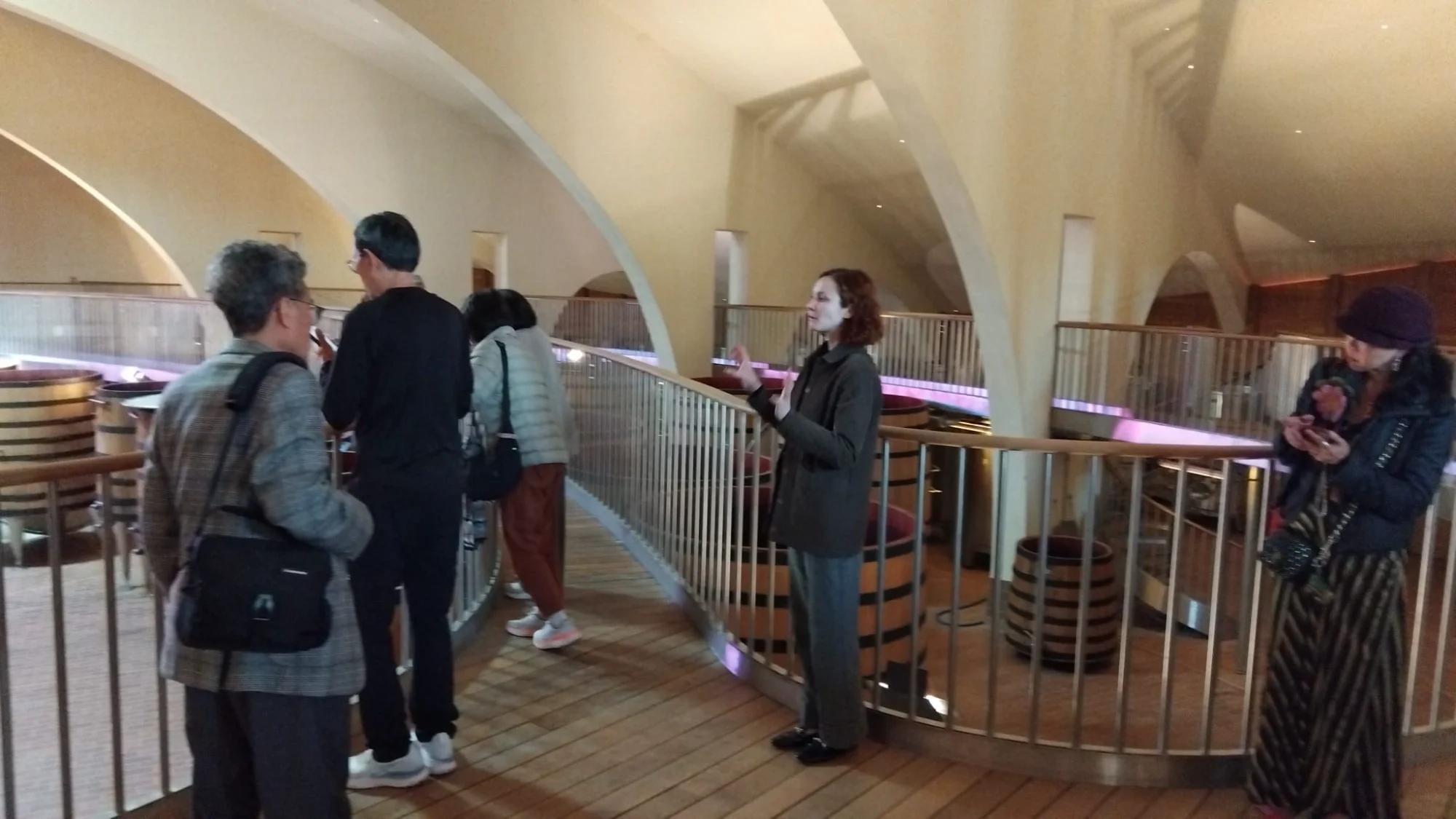The Vineyard Odyssey – 1
