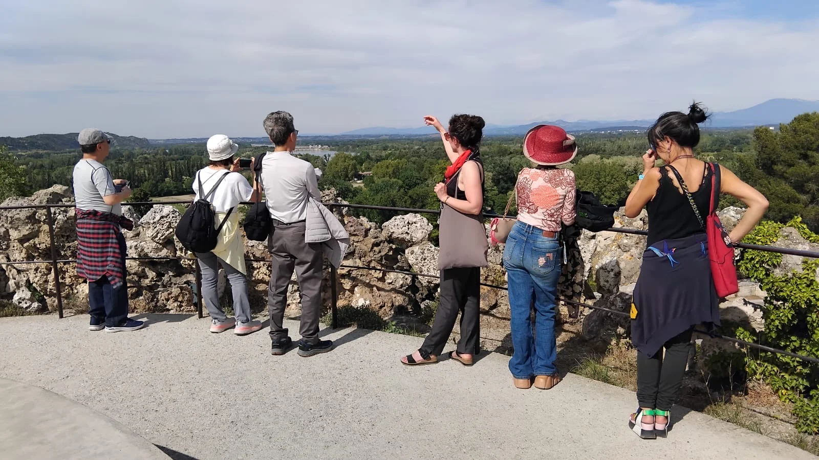 The Vineyard Odyssey – 2