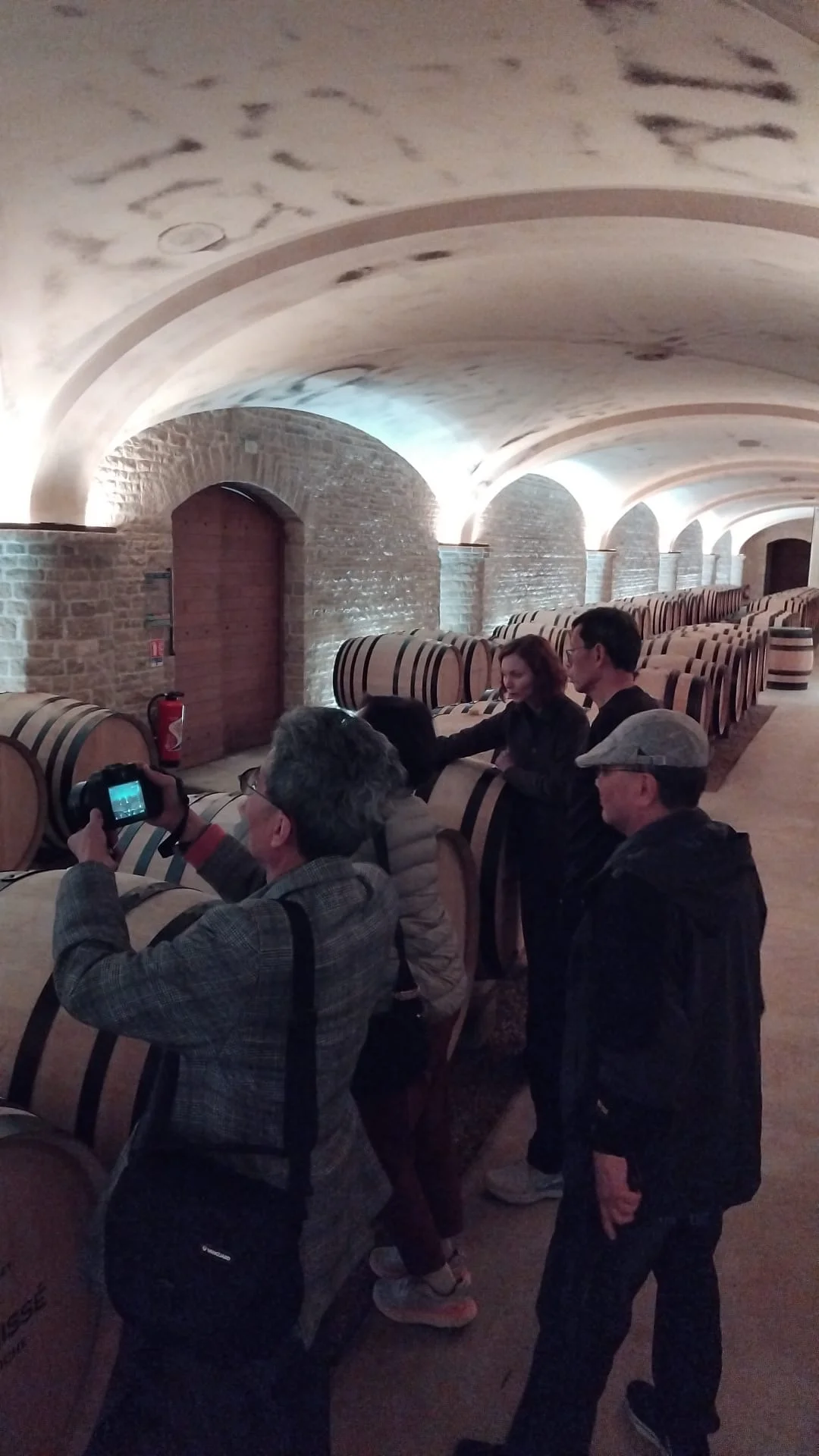 The Vineyard Odyssey – 6