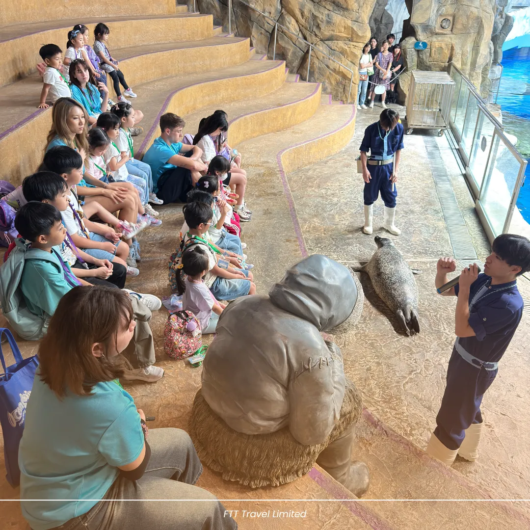 English Adventure: A Day of Animals and Learning – 1
