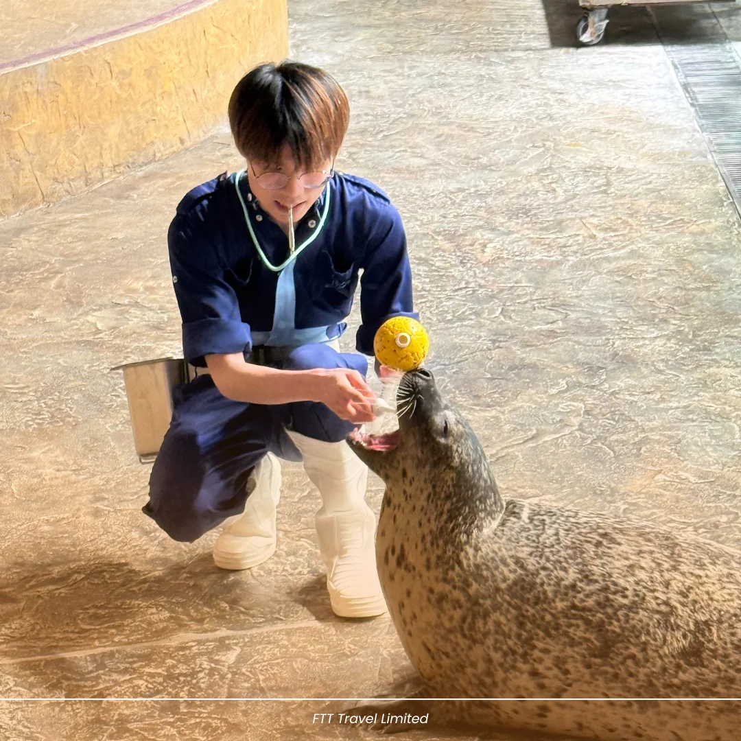 English Adventure: A Day of Animals and Learning – 4