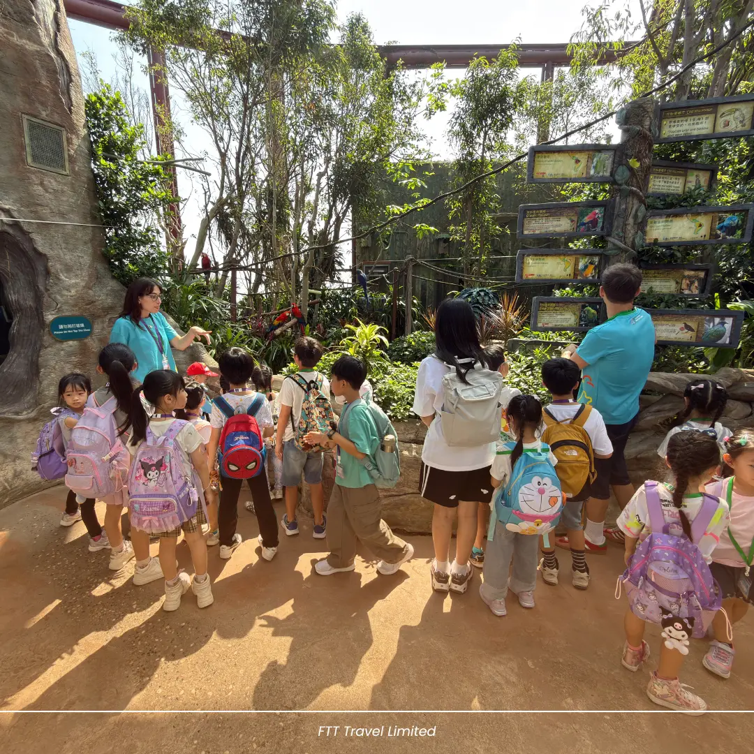 English Adventure: A Day of Animals and Learning – 5