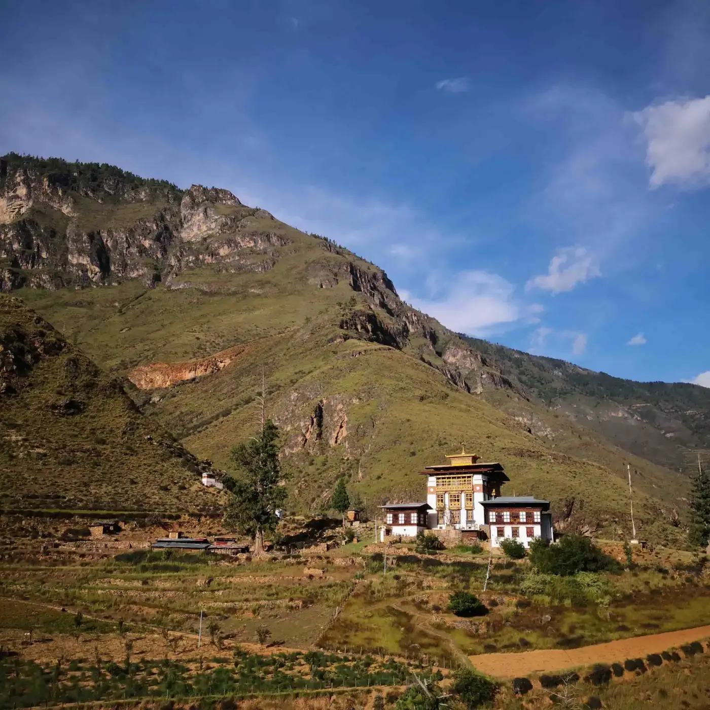 Tamchog Lhakhang