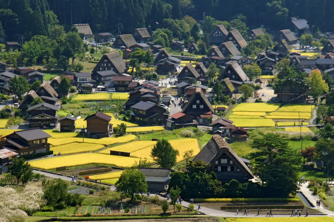 Ogimachi Village
