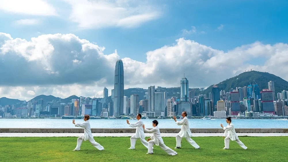 Tai Chi Session at a Park