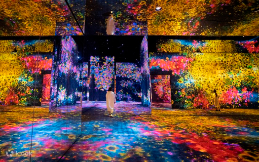 TeamLab SuperNature Macao Ticket