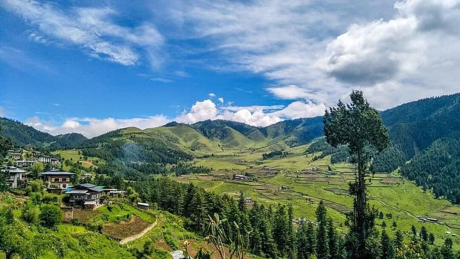 Valle de Phobjikha / Gangtey