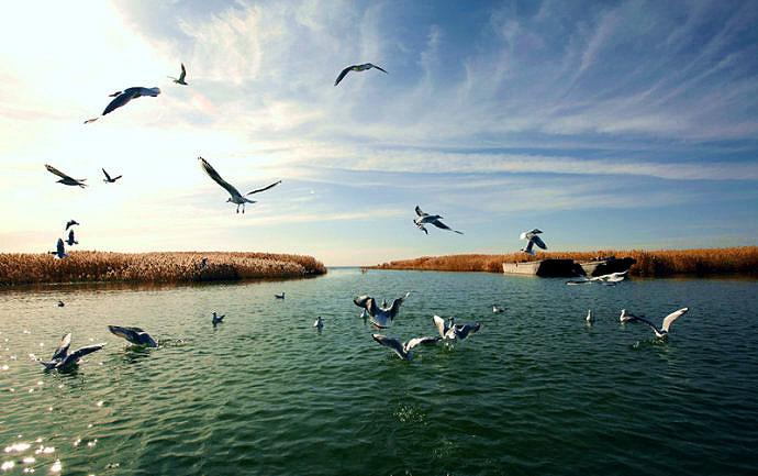 Juyan Lake Scenic Area