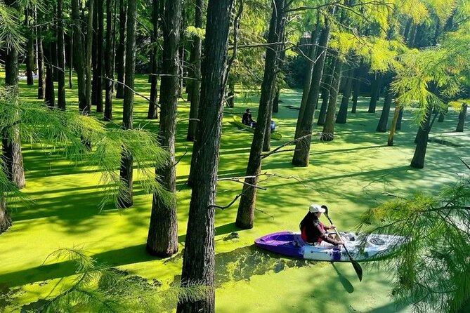Qingshan Lake Water Forest