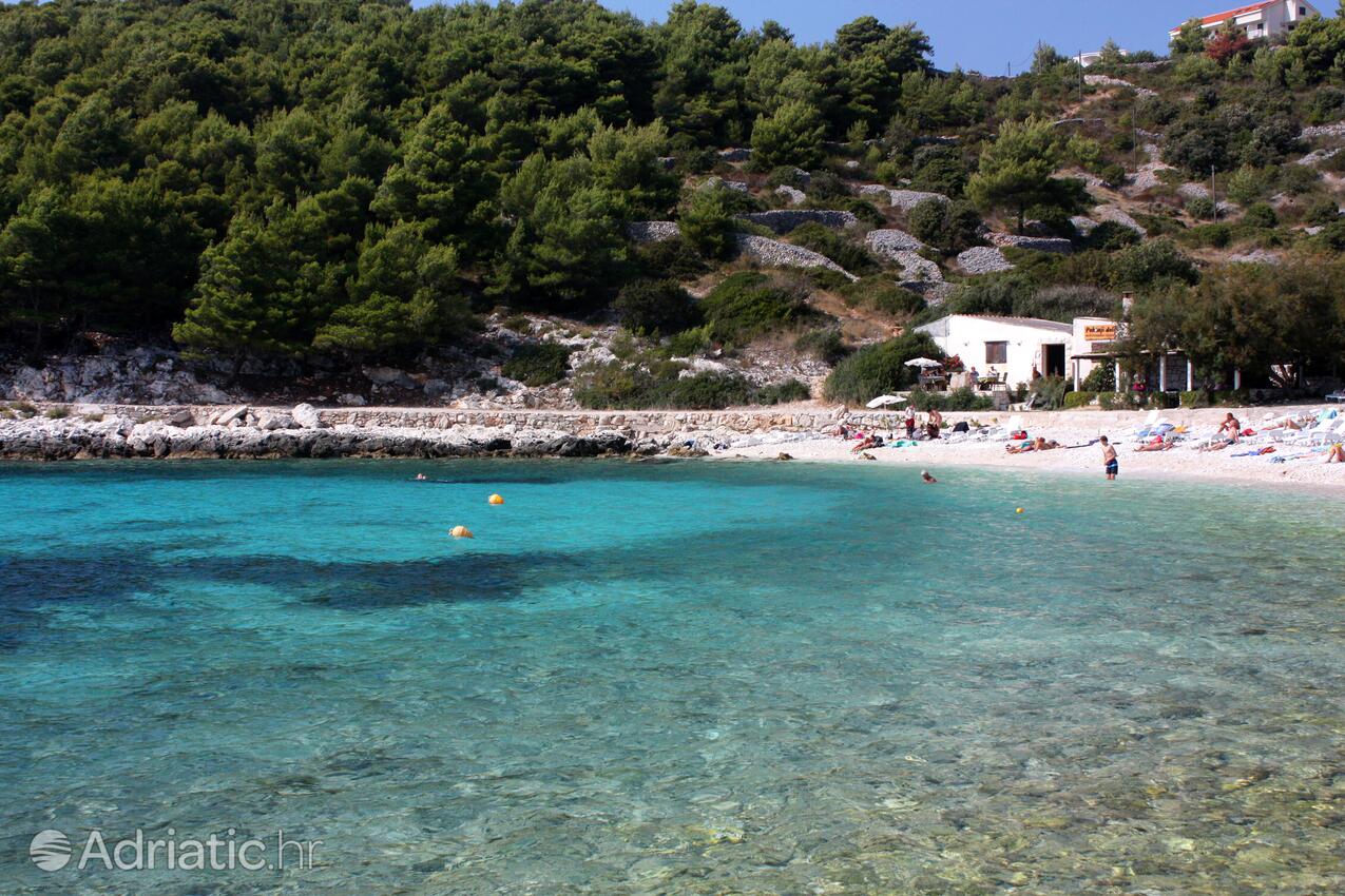 Pokonji dol Beach