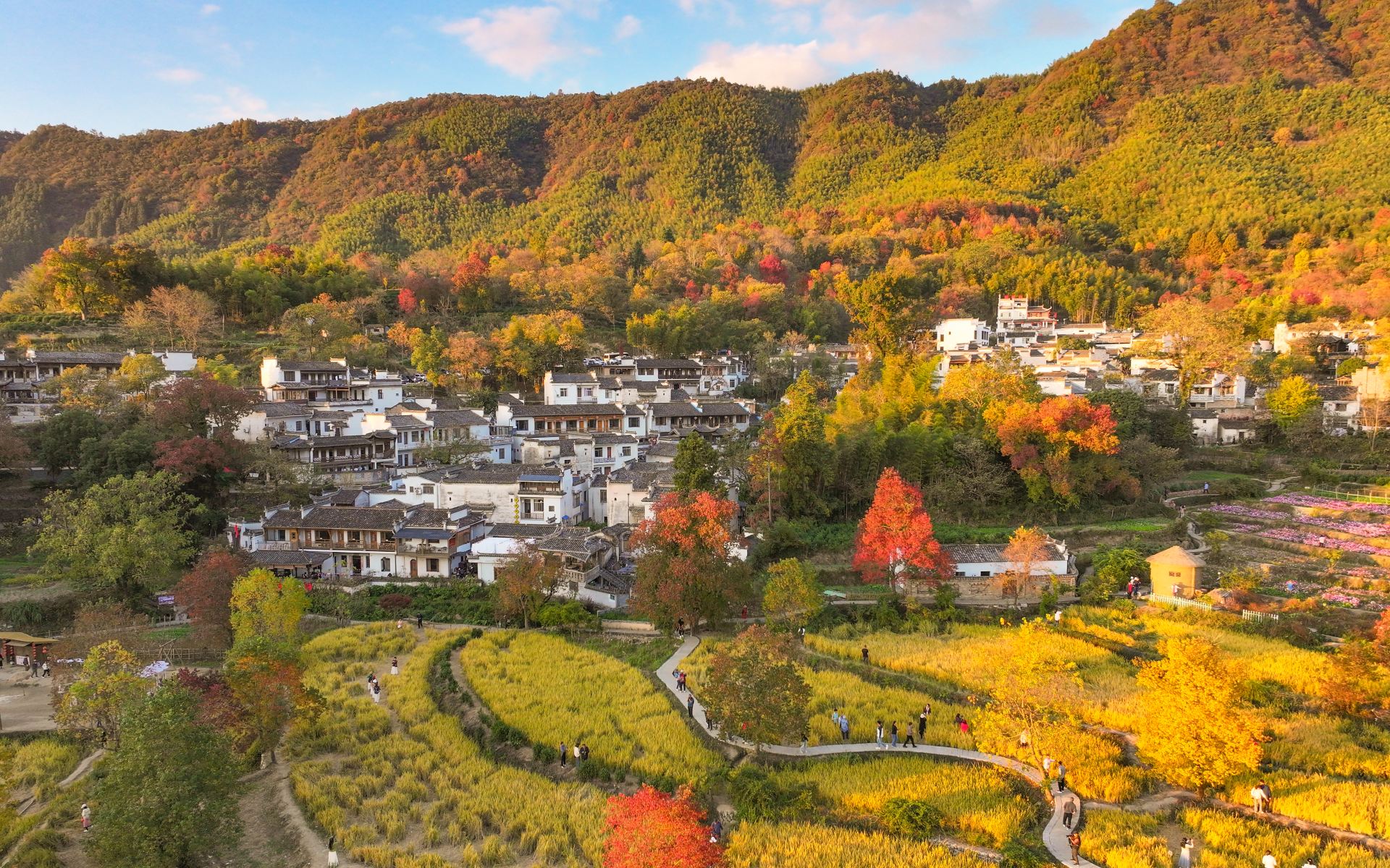 Tachuan Village