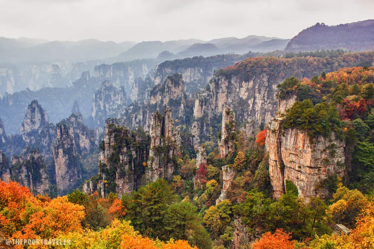 Tianzi Mountain
